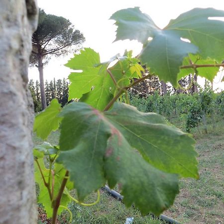 Agriturismo Occhineri Porto Cesareo Ngoại thất bức ảnh