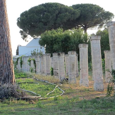 Agriturismo Occhineri Porto Cesareo Ngoại thất bức ảnh