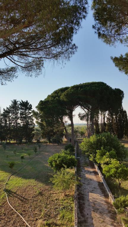 Agriturismo Occhineri Porto Cesareo Ngoại thất bức ảnh