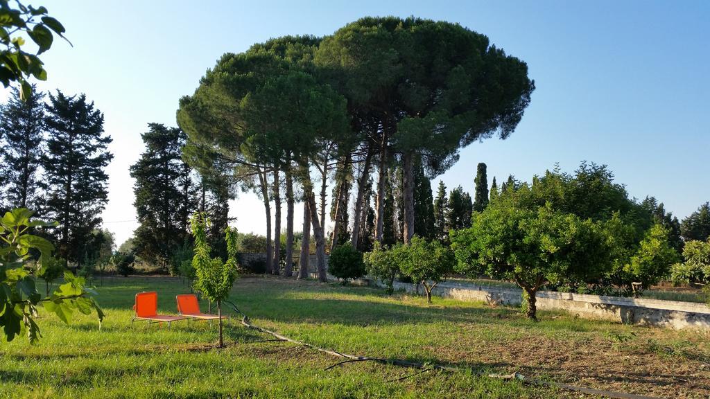 Agriturismo Occhineri Porto Cesareo Ngoại thất bức ảnh