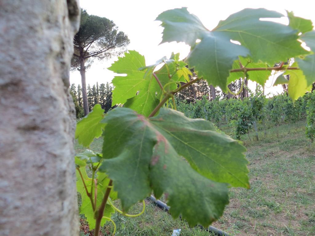 Agriturismo Occhineri Porto Cesareo Ngoại thất bức ảnh