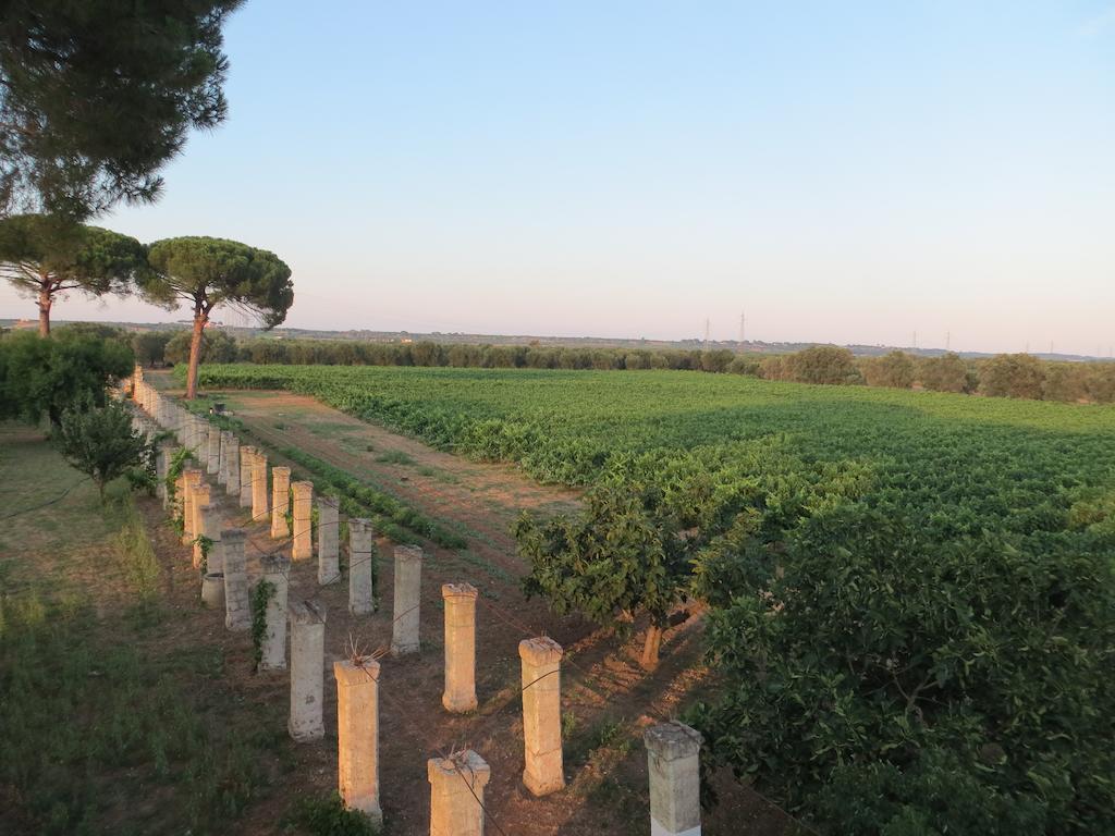 Agriturismo Occhineri Porto Cesareo Ngoại thất bức ảnh