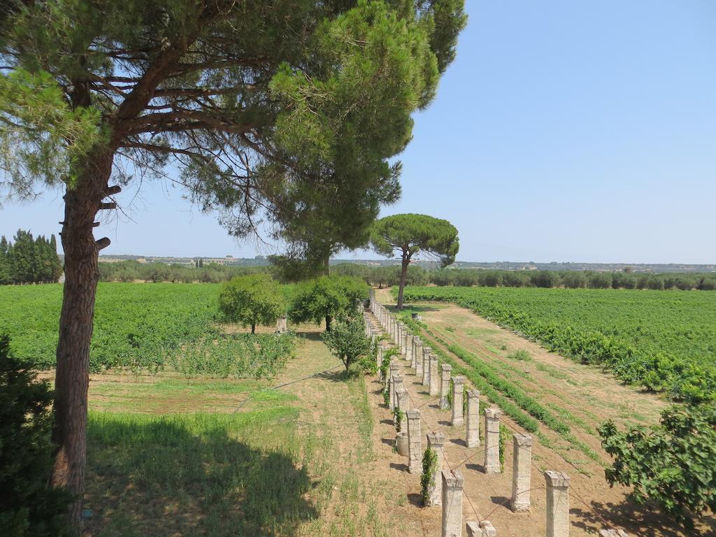Agriturismo Occhineri Porto Cesareo Ngoại thất bức ảnh